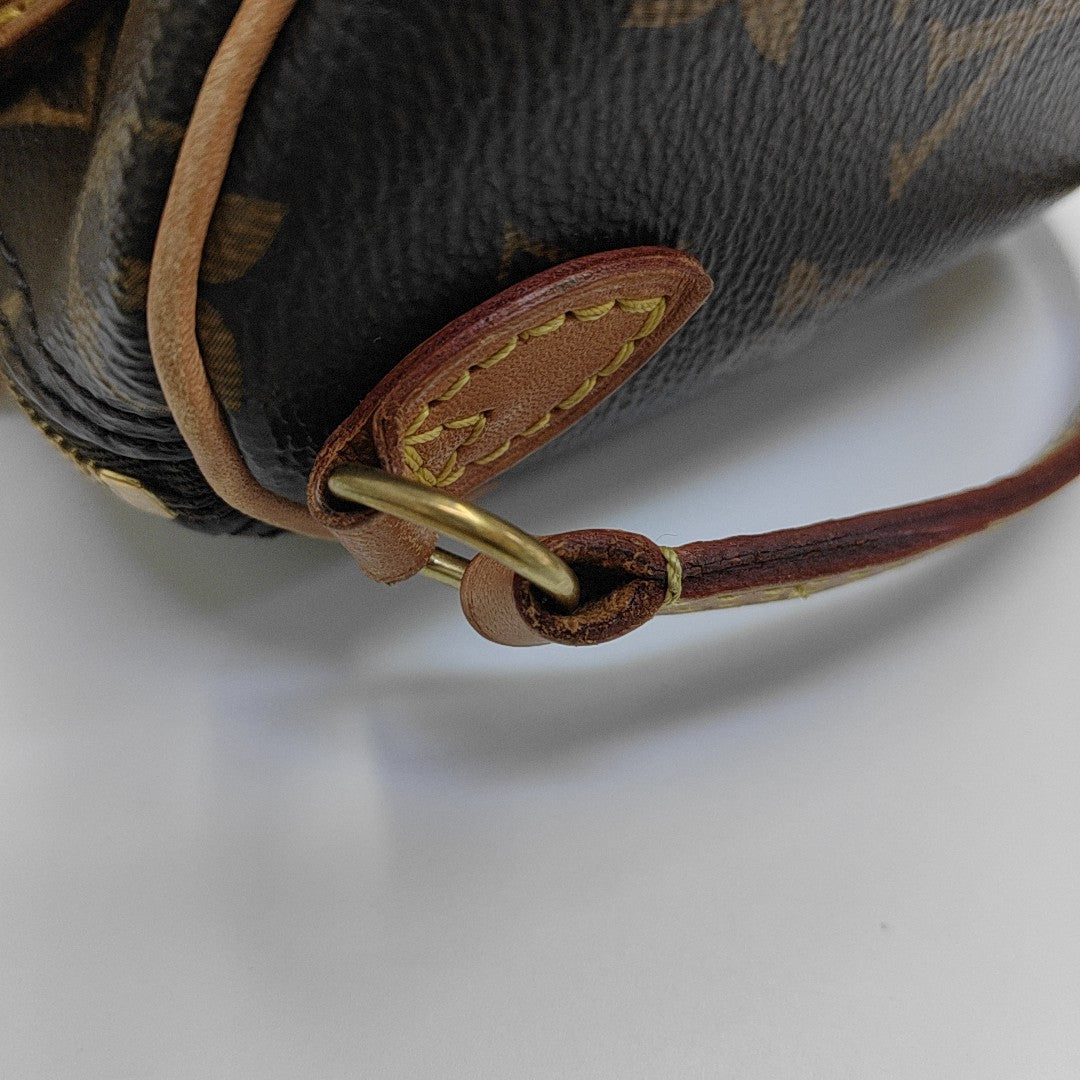 SPEEDY Nano Monogram Coated Canvas Brown