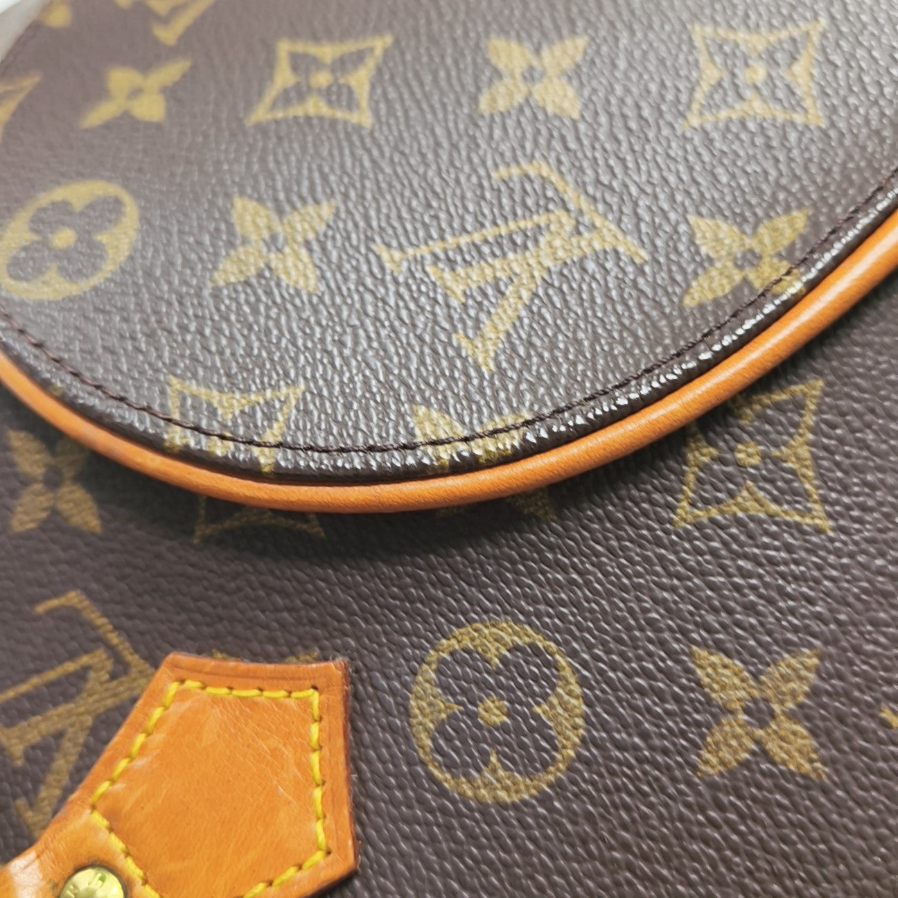 ELLIPSE Monogram Coated Canvas Brown