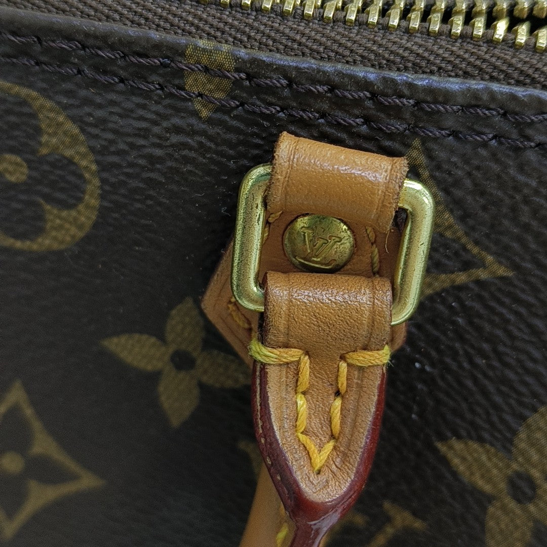 SPEEDY Nano Monogram Coated Canvas Brown
