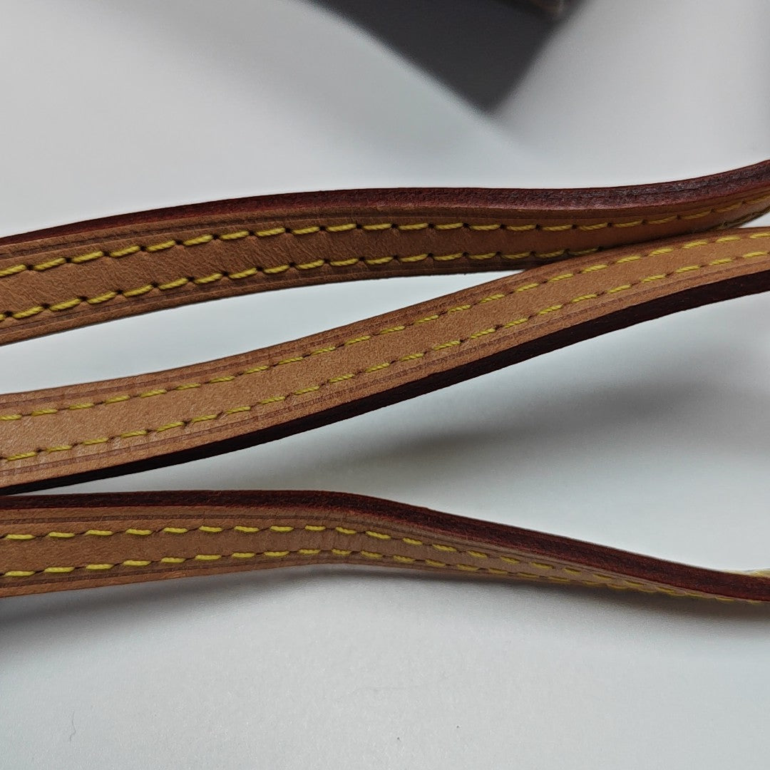 SPEEDY Nano Monogram Coated Canvas Brown