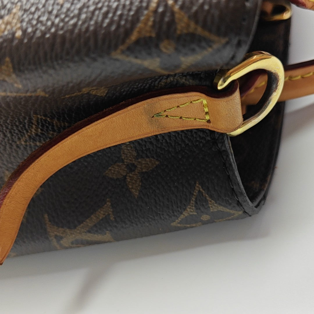 MONTAIGNE Monogram Coated Canvas Brown