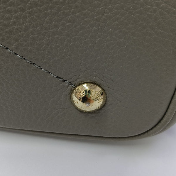 BLOSSOM PM Monogram Calfskin Gray