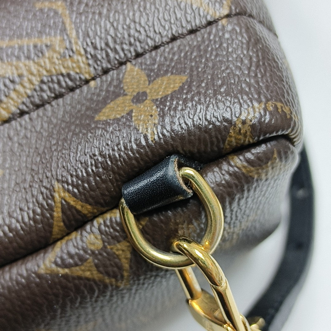 PALM SPRINGS Mini Monogram Coated Canvas Brown