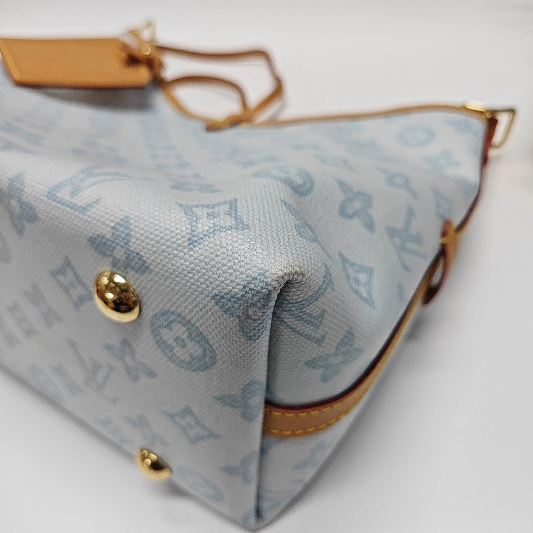 CARRYALL PM Monogram Coated Canvas Blue