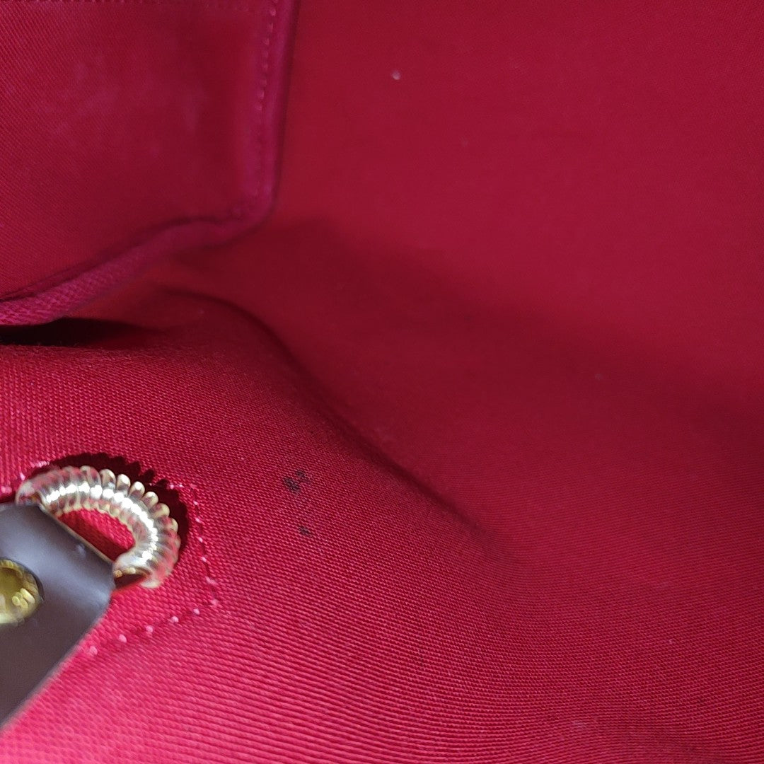 SPEEDY 25 Damier Ebene Coated Canvas Brown