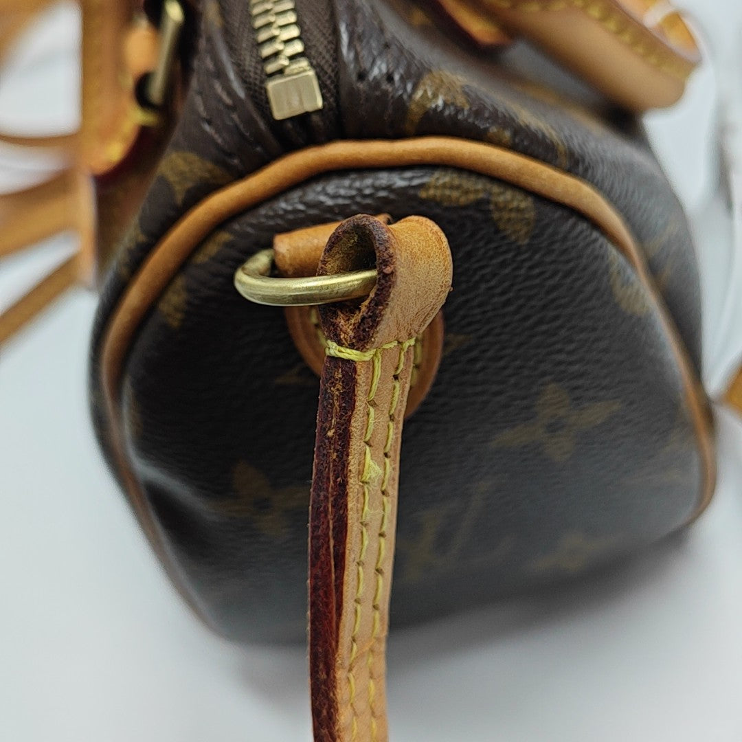 SPEEDY Nano Monogram Coated Canvas Brown