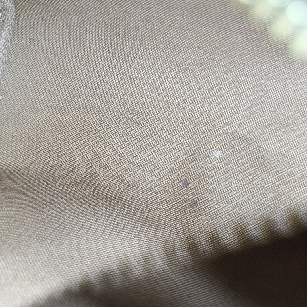 SPEEDY Nano Monogram Coated Canvas Brown