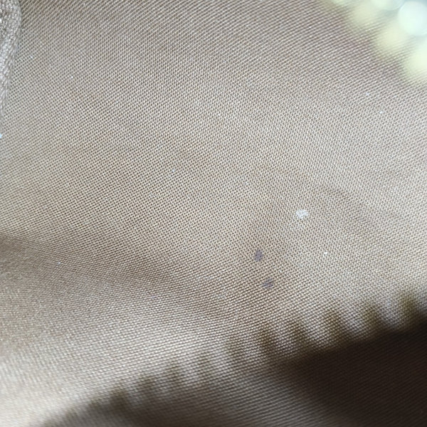 SPEEDY Nano Monogram Coated Canvas Brown