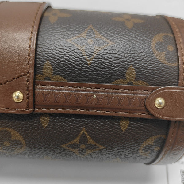 PAPILLON 19 Monogram Coated Canvas Brown