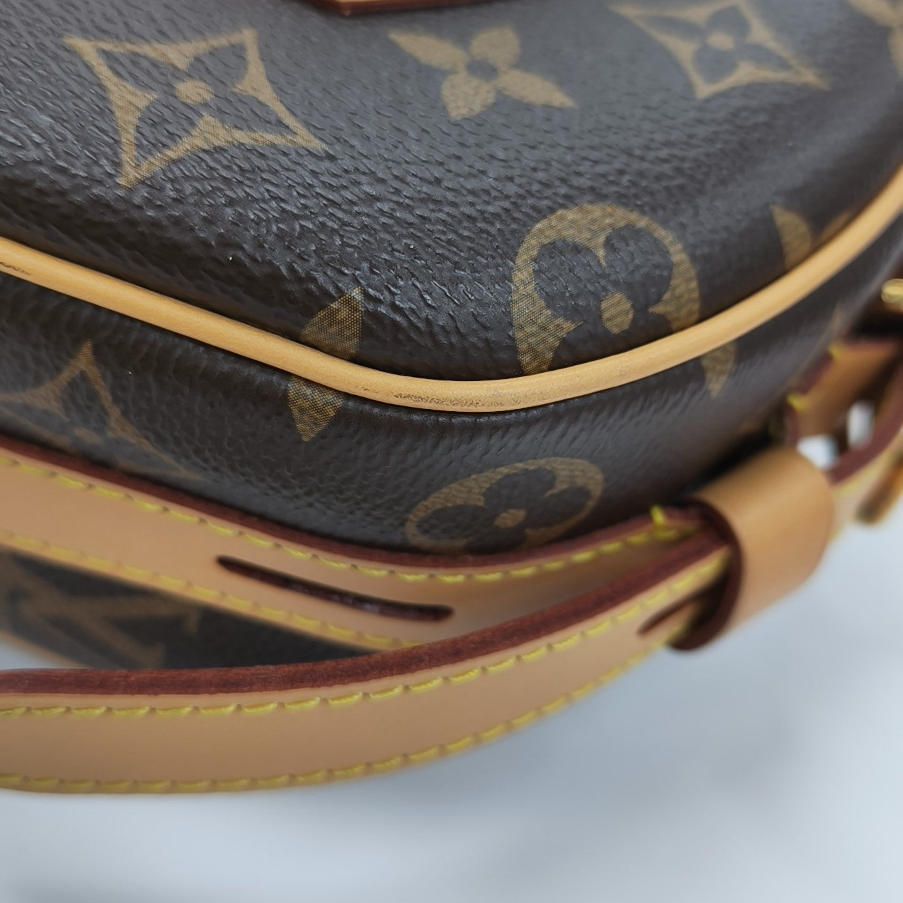 BOITE CHAPEAU MM Monogram Coated Canvas Brown