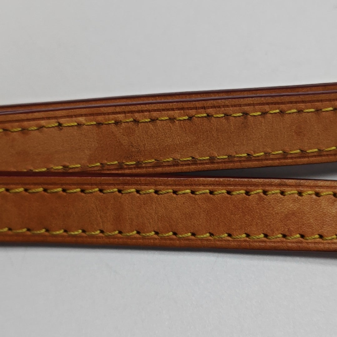 SPEEDY 20 Monogram Coated Canvas Brown