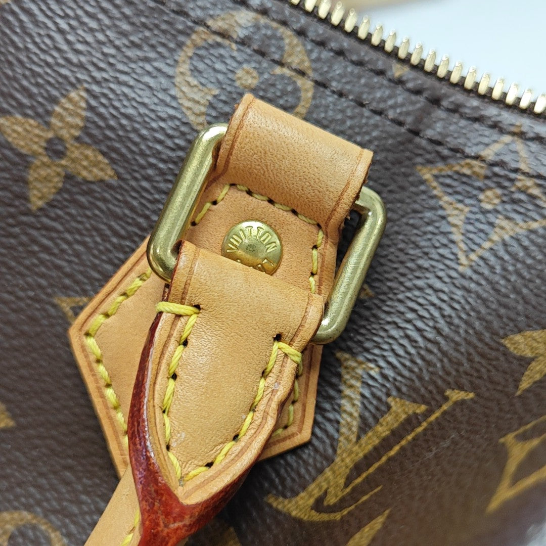 SPEEDY 25 Monogram Coated Canvas Brown