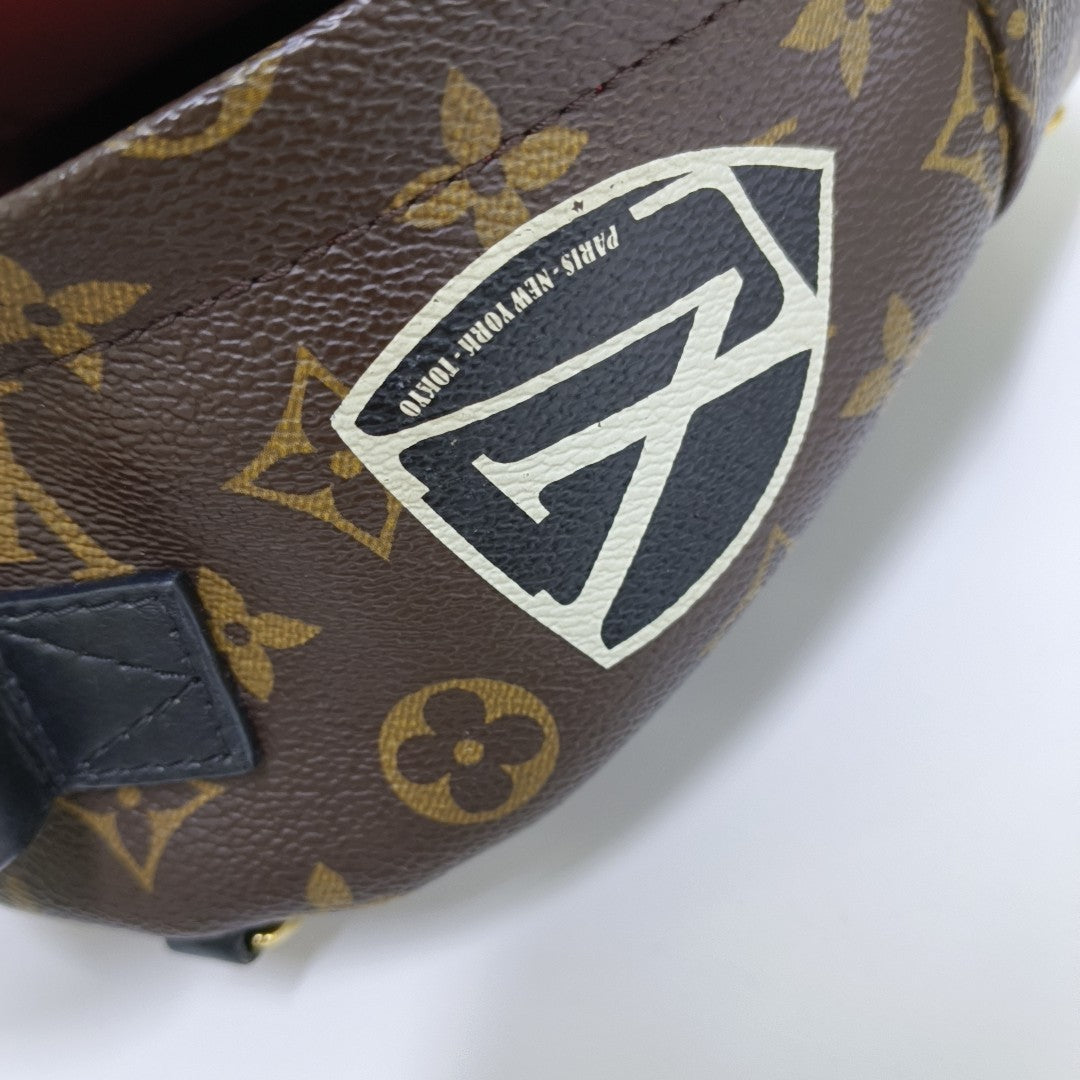 PALM SPRINGS Mini Monogram Coated Canvas Brown