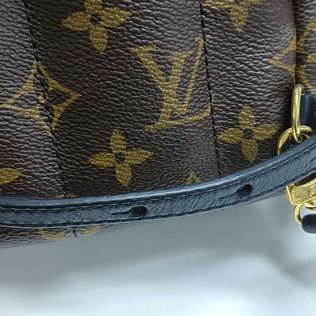 PALM SPRINGS Mini Monogram Coated Canvas Brown