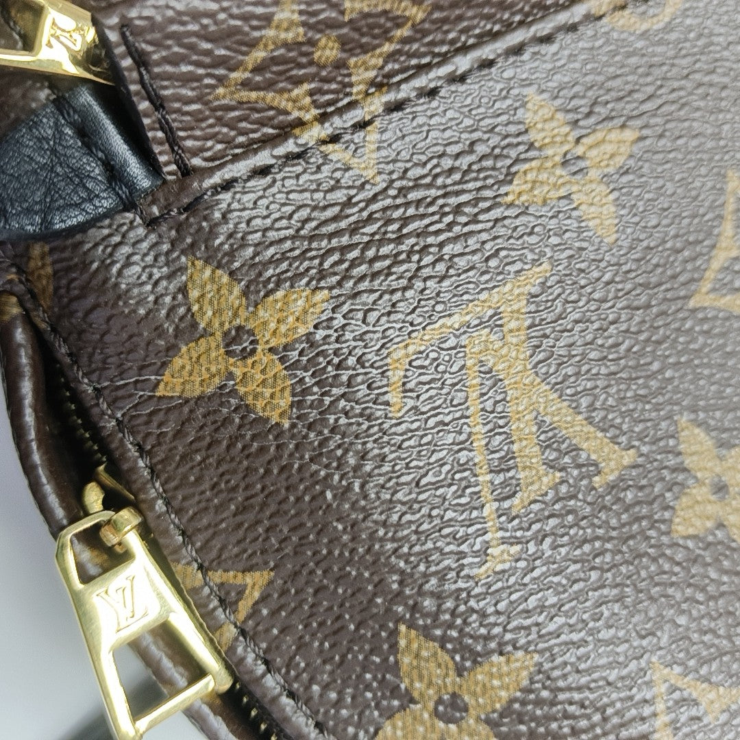 PALM SPRINGS Mini Monogram Coated Canvas Brown