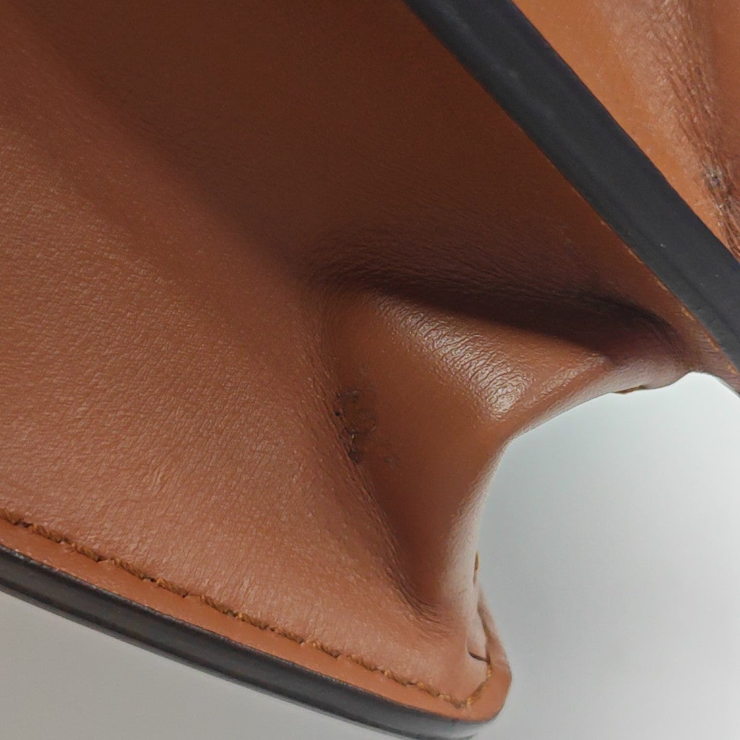 DAUPHINE Mini Monogram Coated Canvas Brown