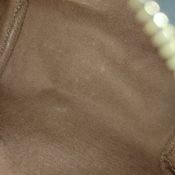 SPEEDY Nano Monogram Coated Canvas Brown