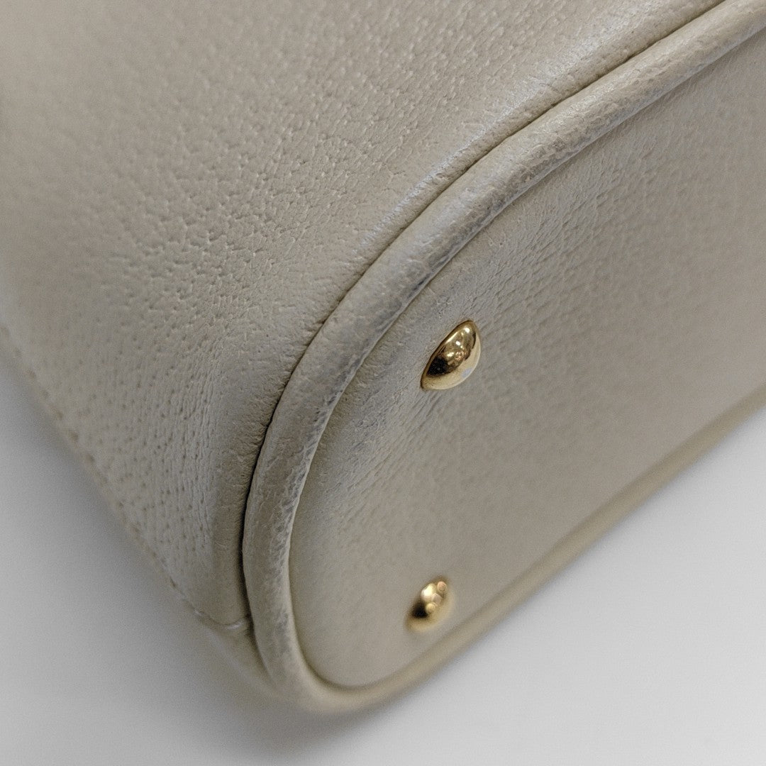 Diana Mini Calfskin White
