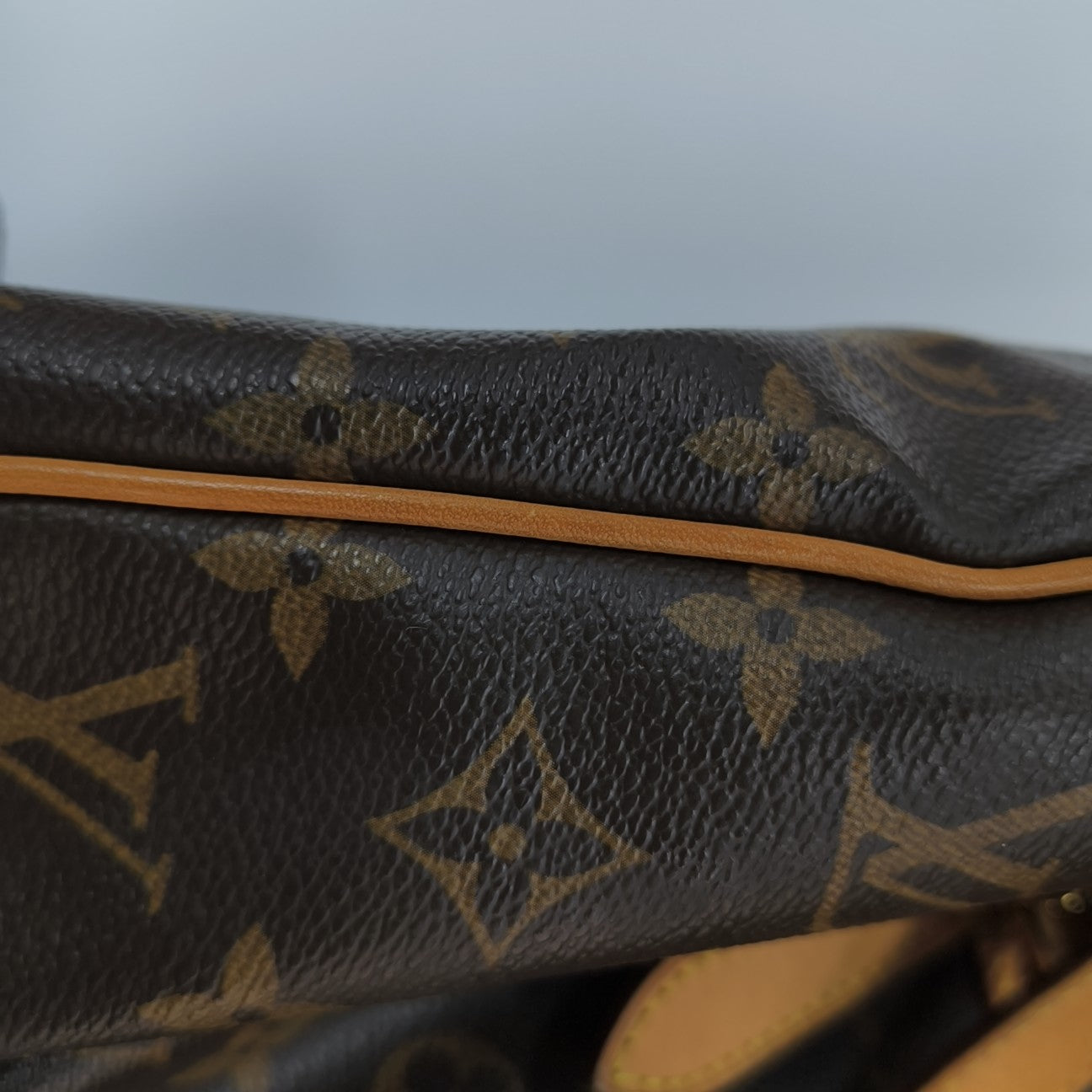 PALERMO GM Monogram Coated Canvas Brown