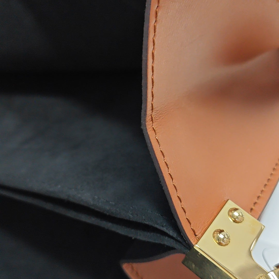DAUPHINE MM Monogram Coated Canvas Brown