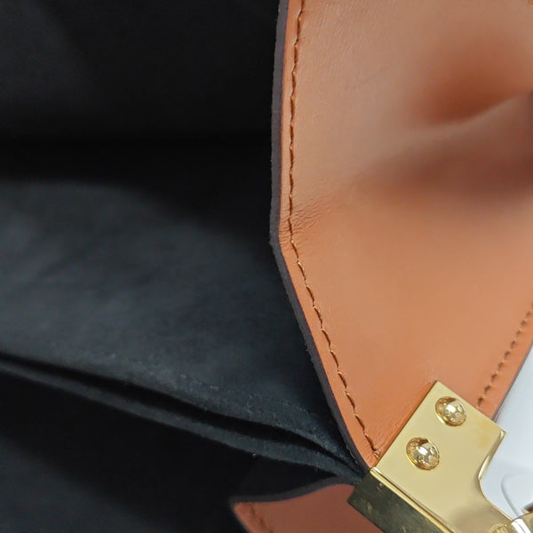 DAUPHINE MM Monogram Coated Canvas Brown