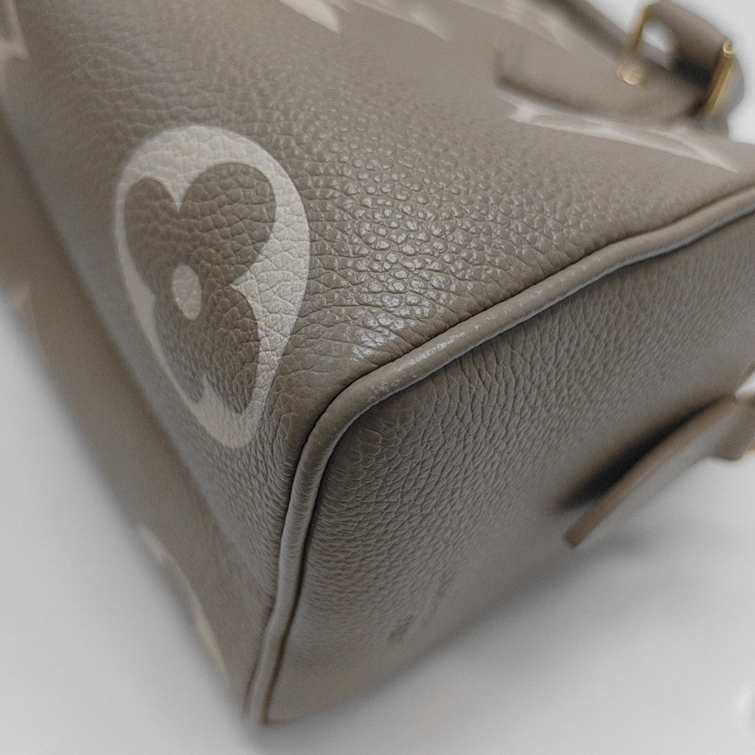 SPEEDY 20 Monogram Calfskin Gray