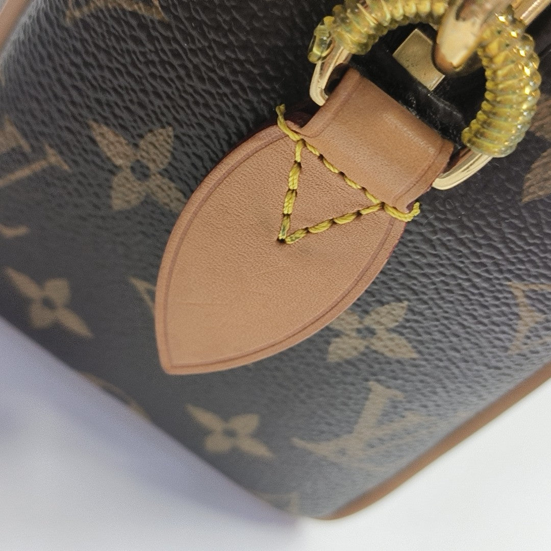 SPEEDY 20 Monogram Coated Canvas Brown