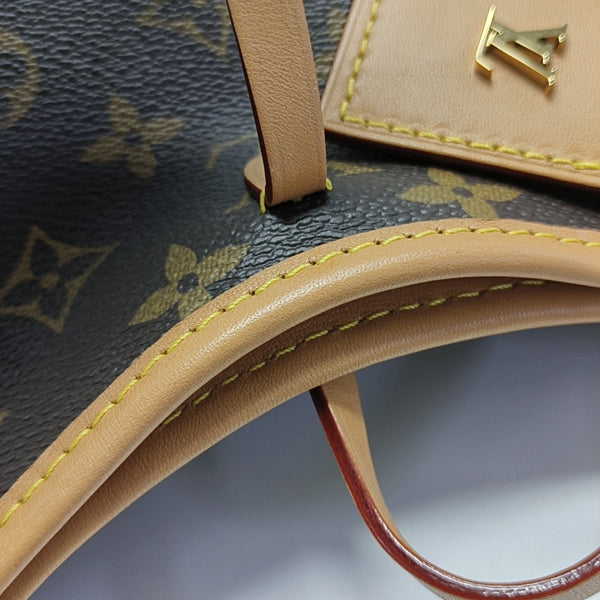 CARRYALL PM Monogram Coated Canvas Brown