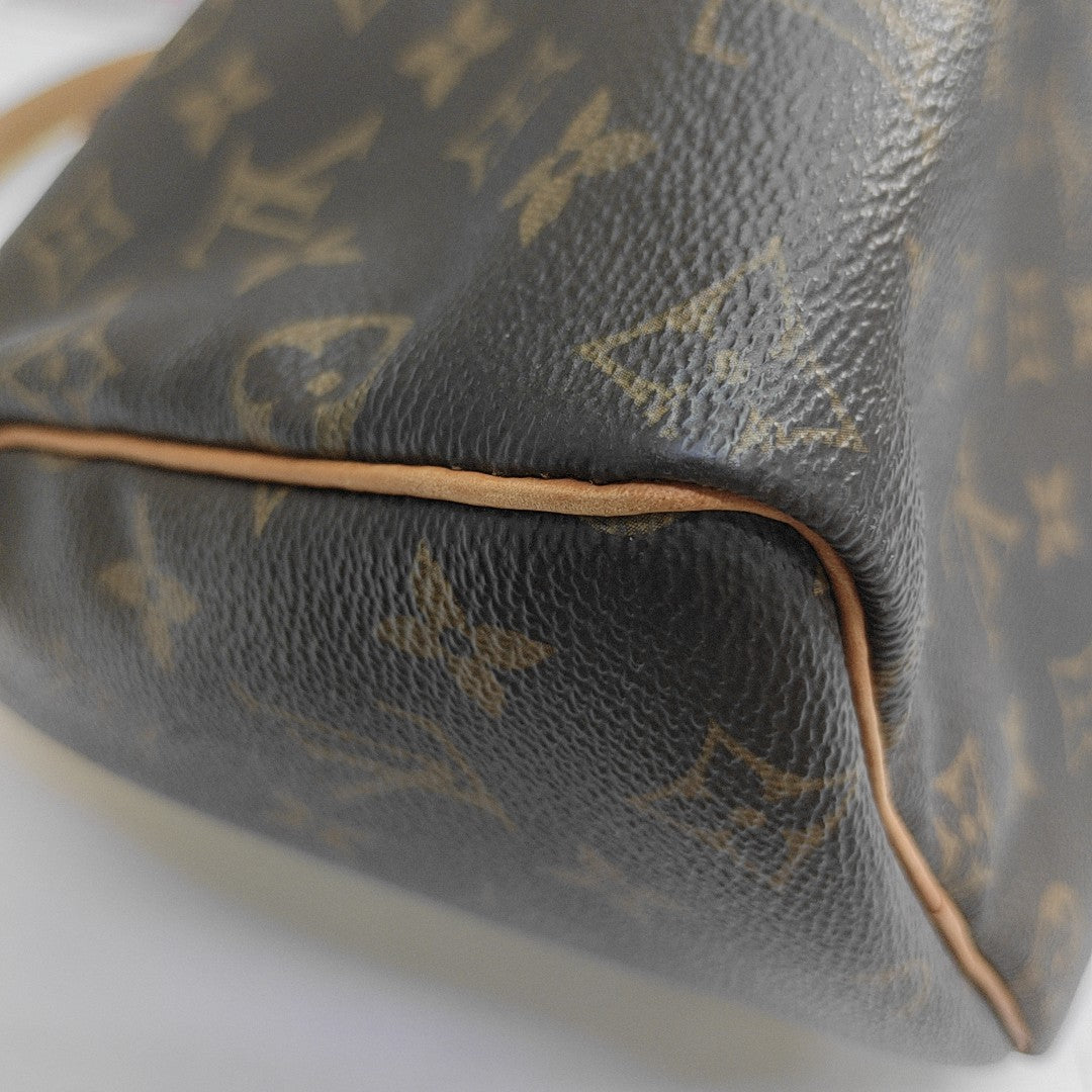 SPEEDY 25 Monogram Coated Canvas Brown