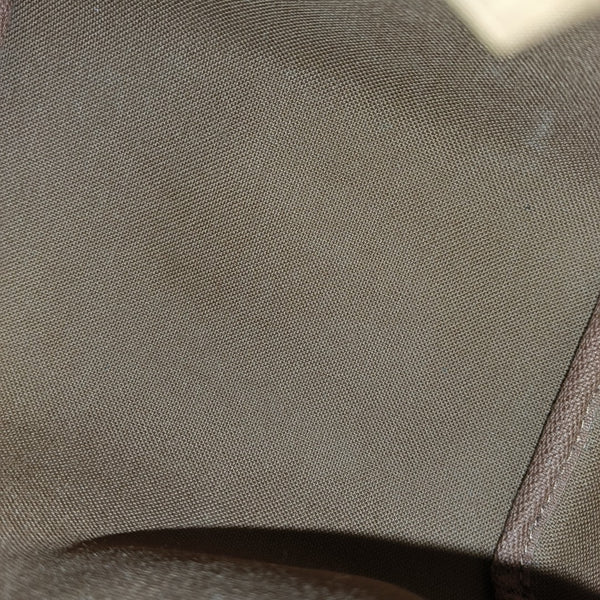 SPEEDY Nano Monogram Coated Canvas Brown