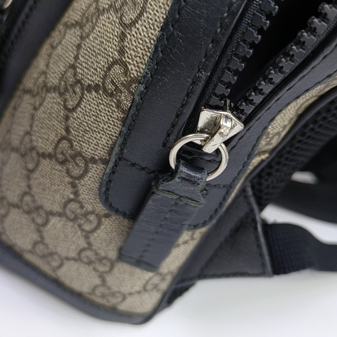 Monogram Coated Canvas Backpack Small Brown