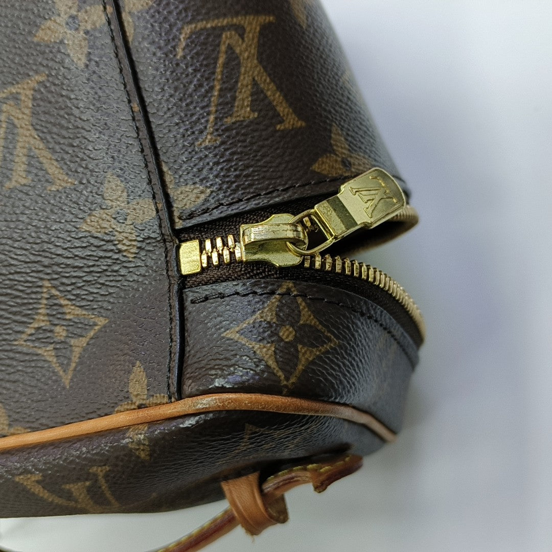 NICE Mini Monogram Coated Canvas Brown