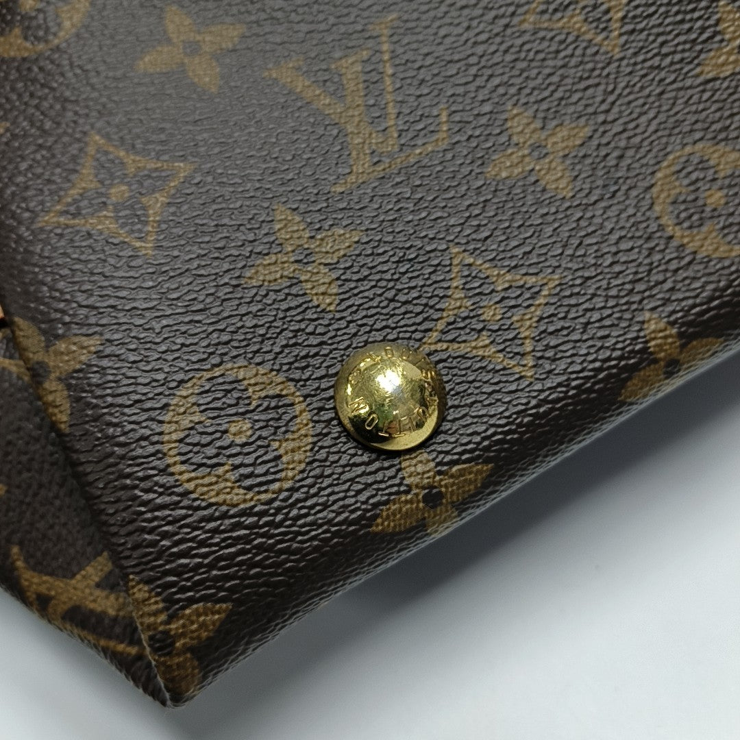 CARRYALL PM Monogram Coated Canvas Brown