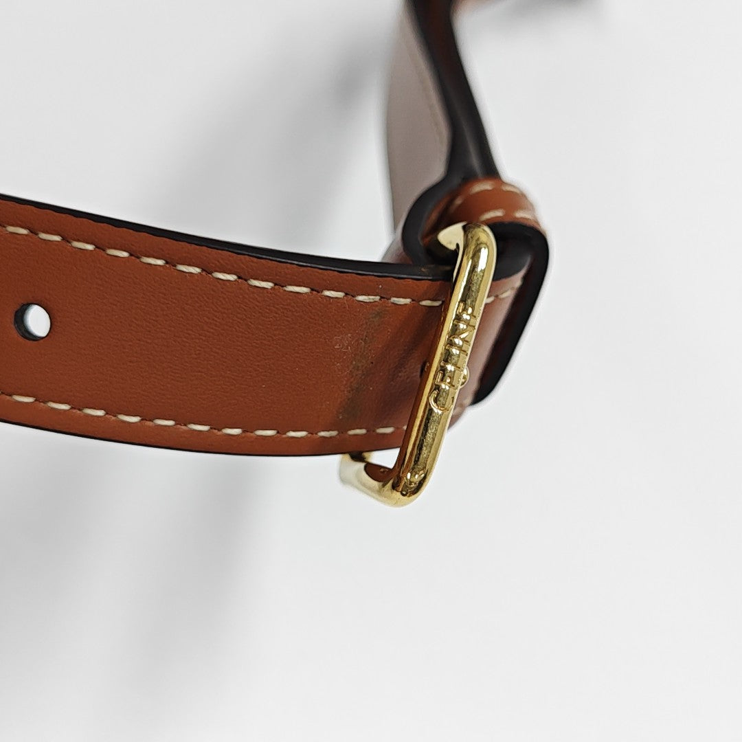 TRIOMPHE CANVAS Small Coated Canvas Brown