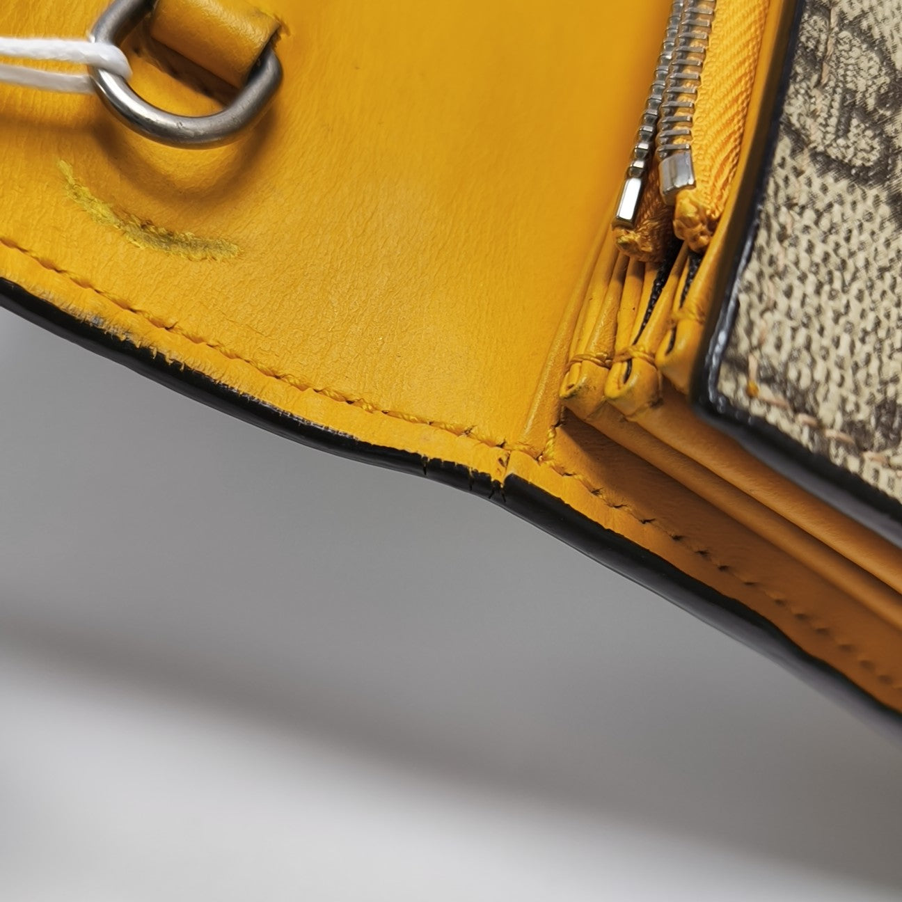 Dionysus Mini Monogram Coated Canvas Beige