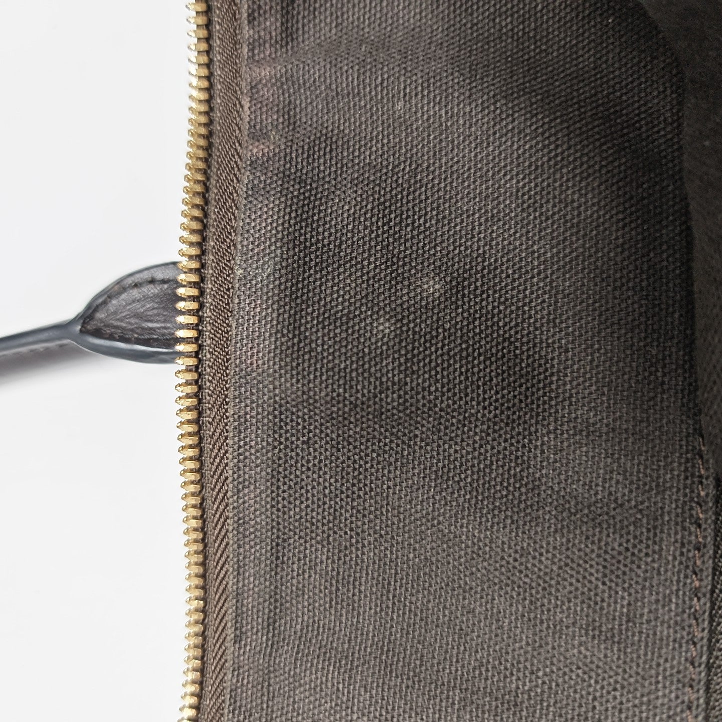 Salisbury Coated Canvas Beige