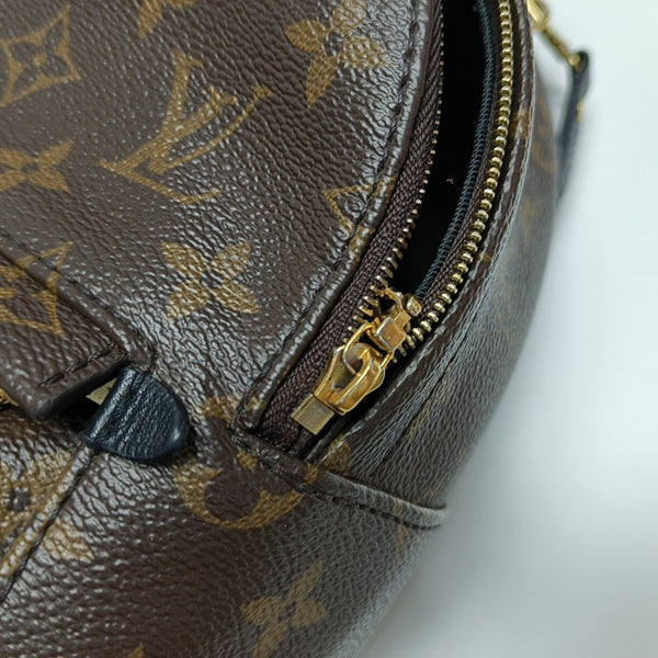PALM SPRINGS Mini Monogram Coated Canvas Brown