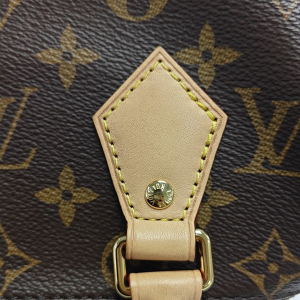SPEEDY 20 Monogram Coated Canvas Brown