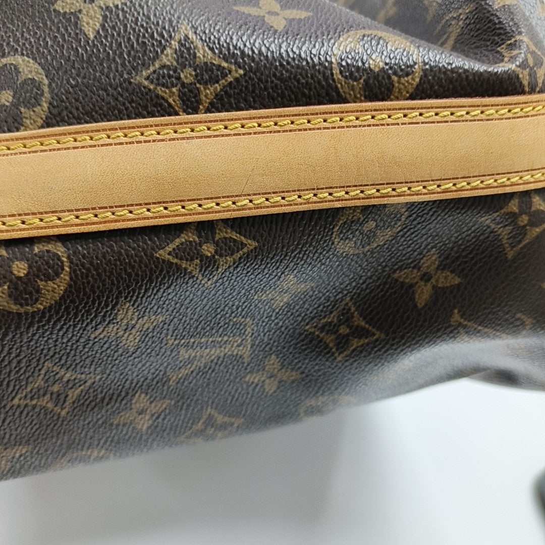NÉONOÉ PM Monogram Coated Canvas Brown