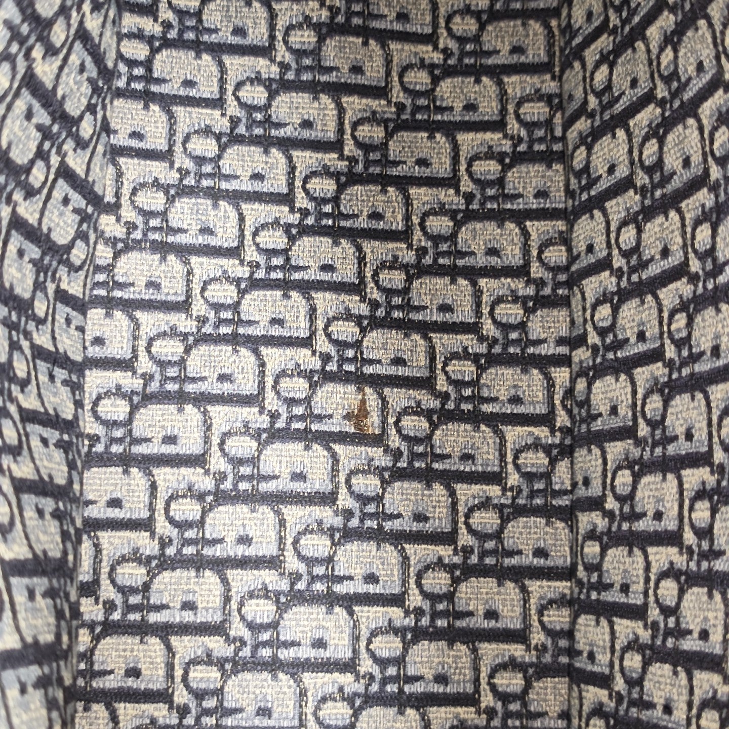 Book Tote Large Oblique Canvas Blue
