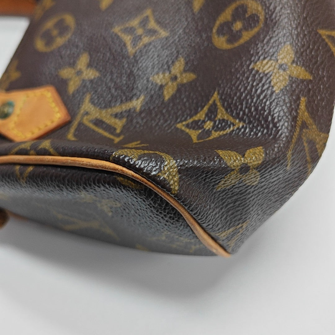 SPEEDY Monogram Coated Canvas Brown
