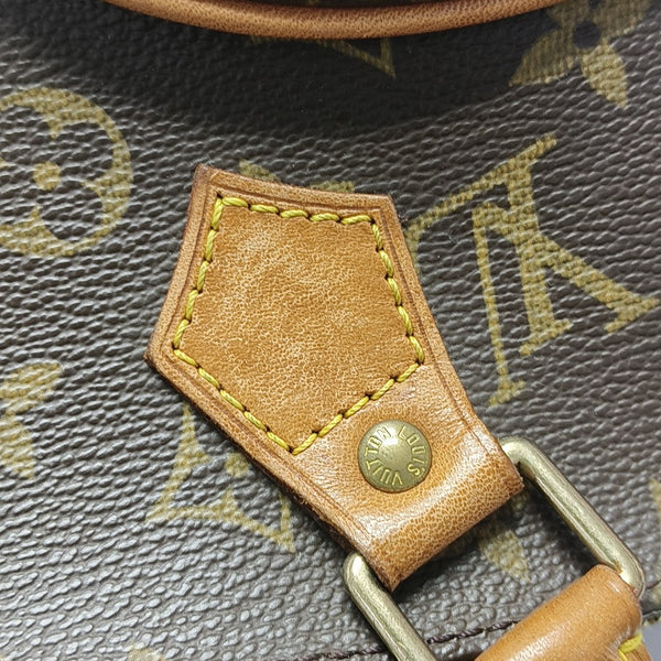 ELLIPSE Monogram Coated Canvas Brown