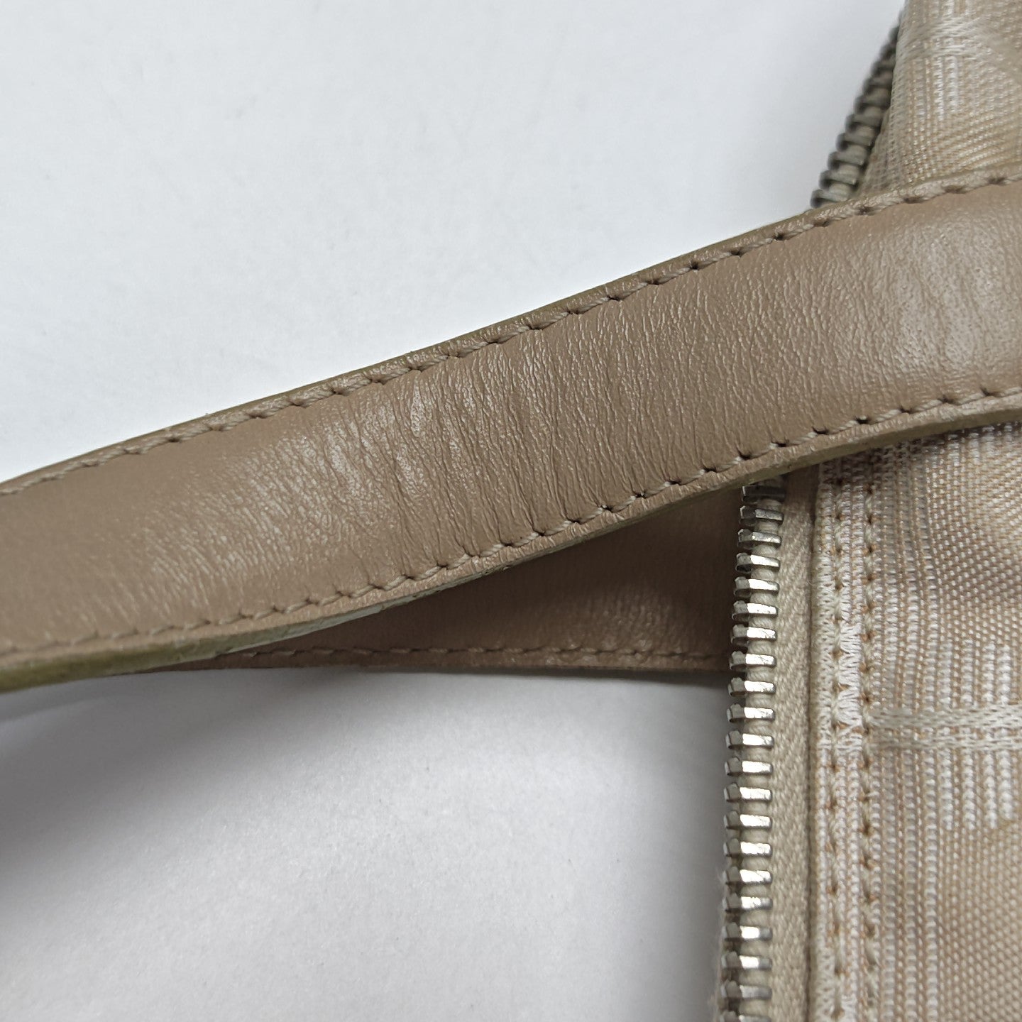 TRAVEL LINE Canvas Beige