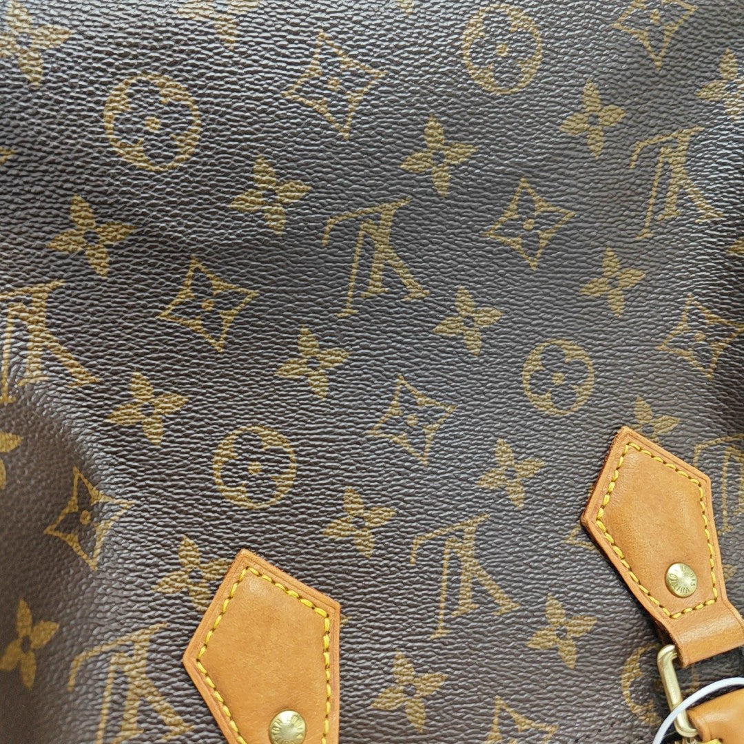SPEEDY 25 Monogram Coated Canvas Brown