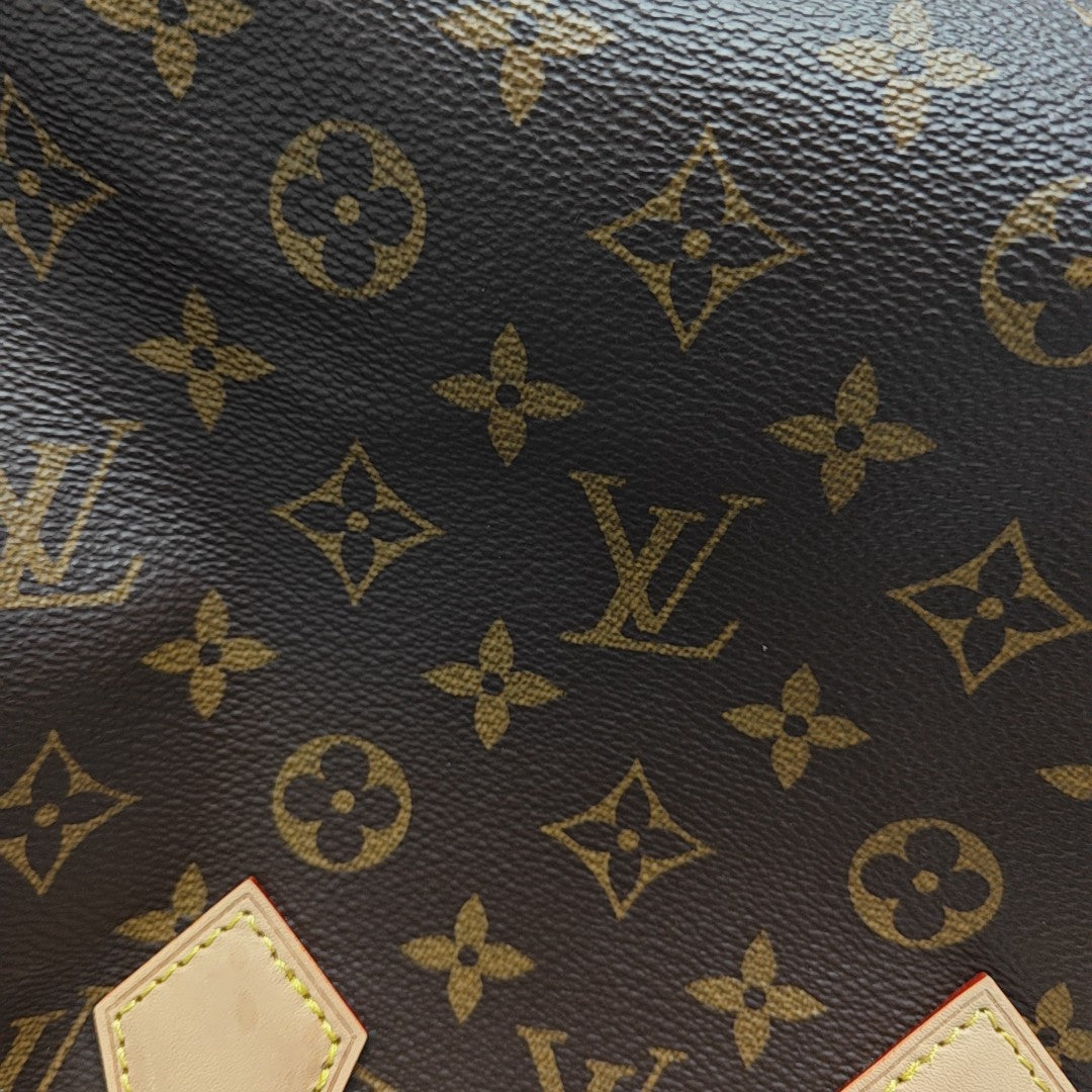 SPEEDY 25 Monogram Coated Canvas Brown