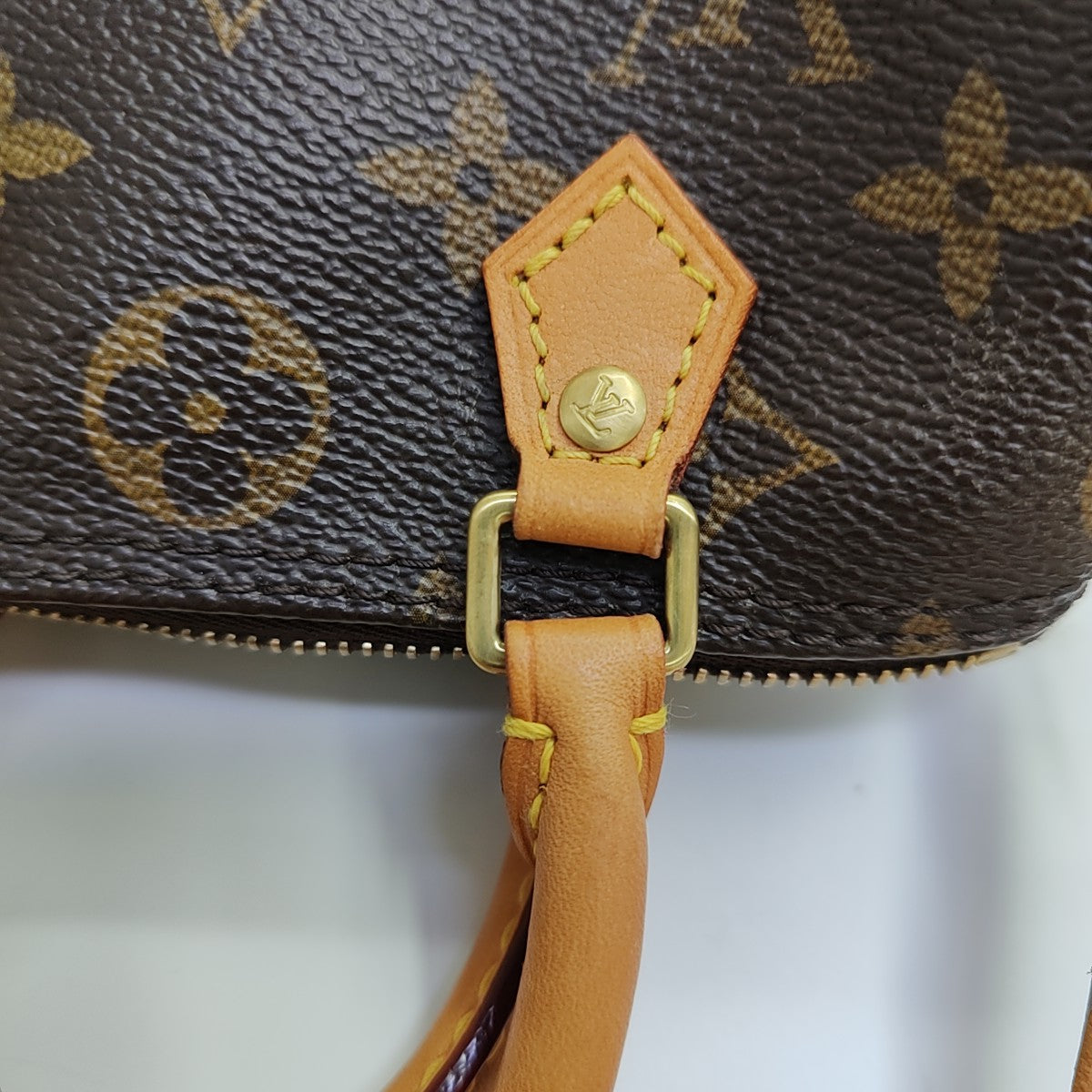 SPEEDY Nano Monogram Coated Canvas Brown