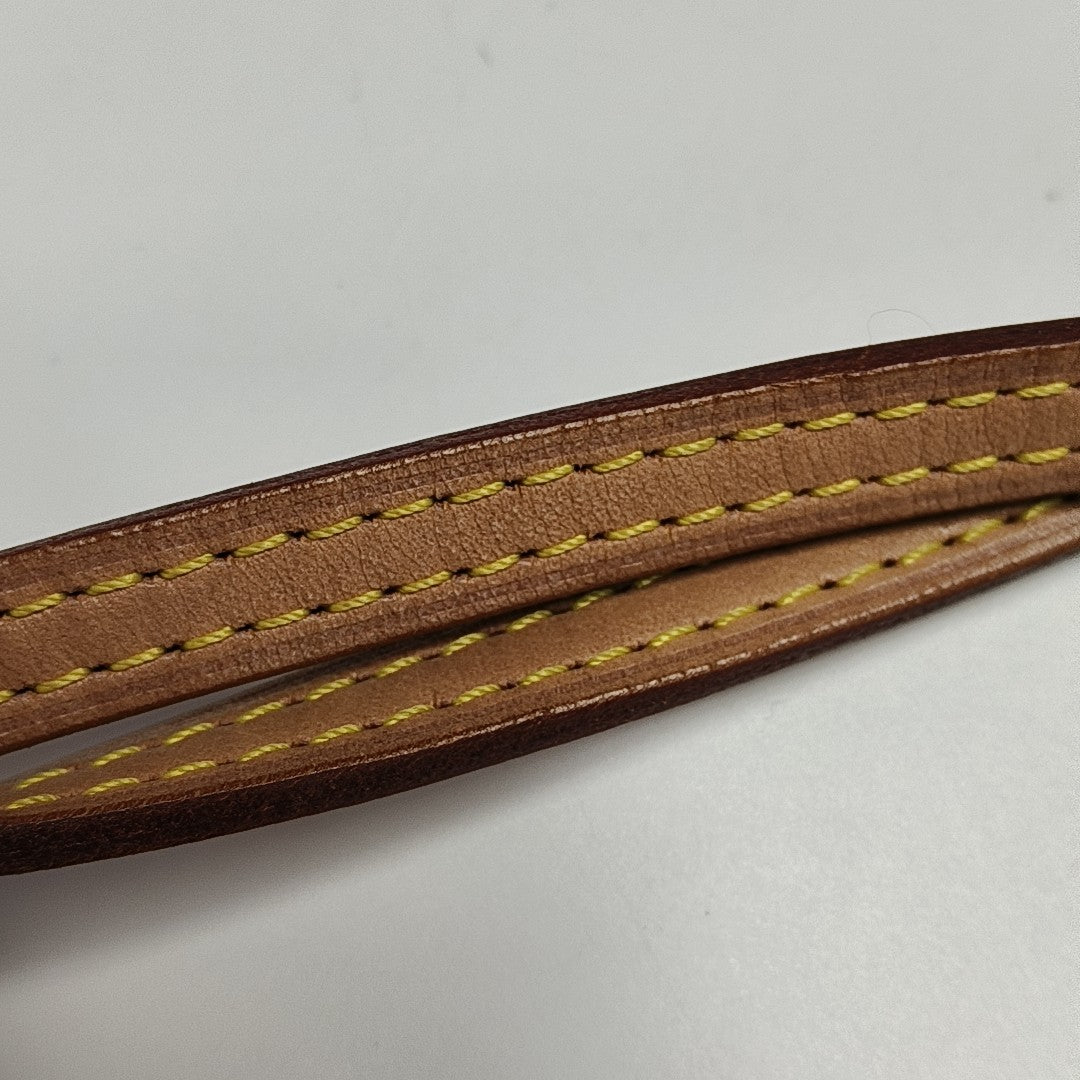 SPEEDY Nano Monogram Coated Canvas Brown