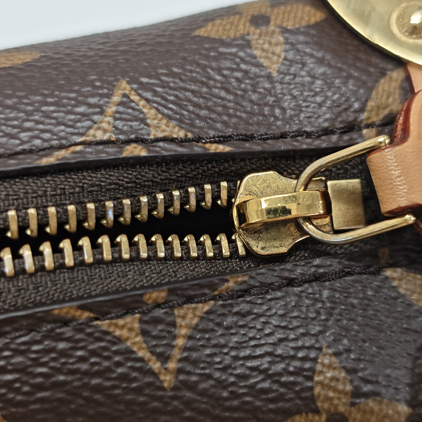 SIDE TRUNK PM Monogram Coated Canvas Brown