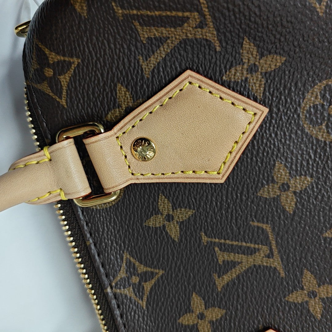 SPEEDY 20 Monogram Coated Canvas Brown