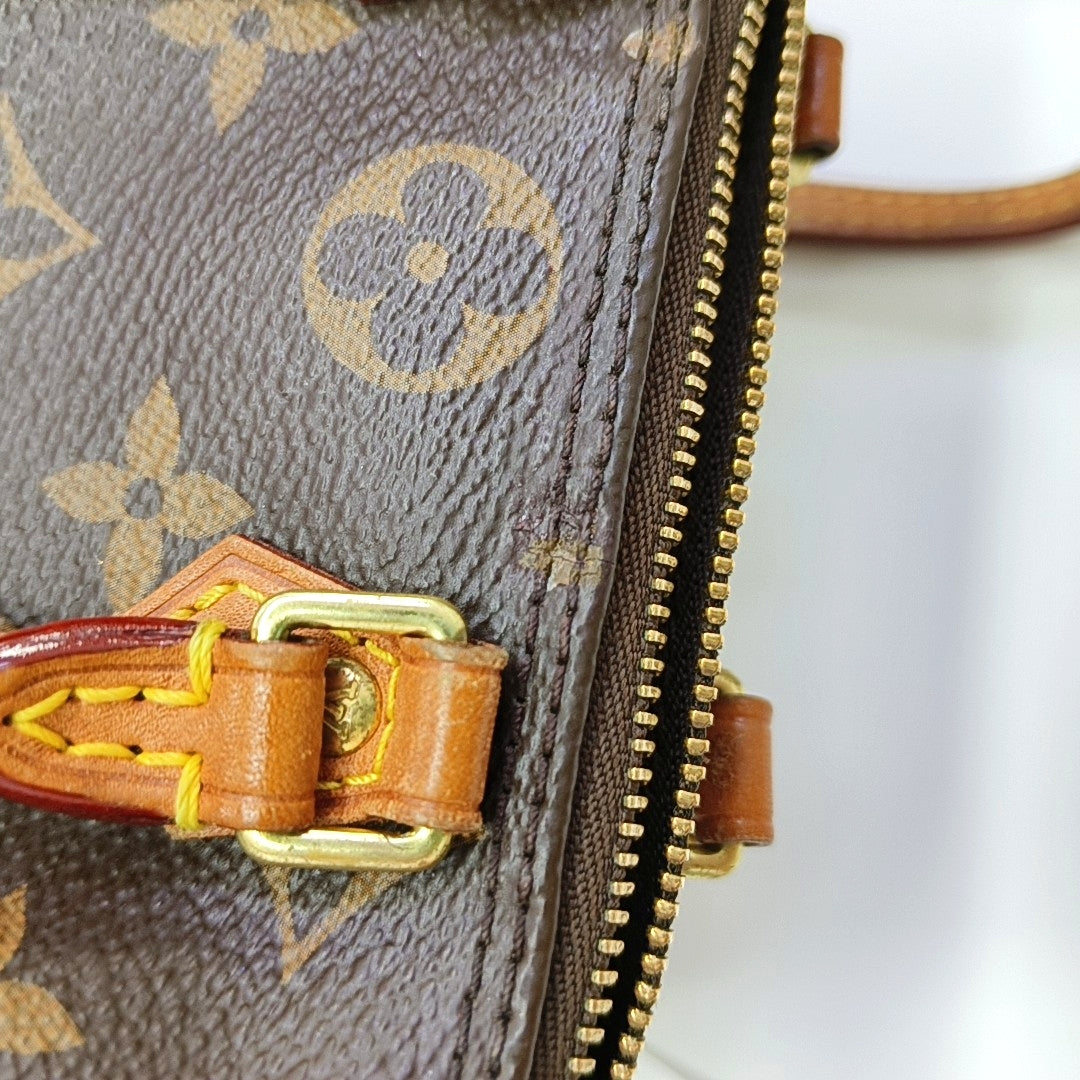 SPEEDY Nano Monogram Coated Canvas Brown